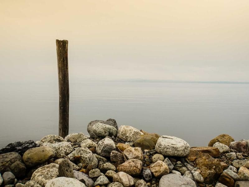 Collection 443 — editorial 29003