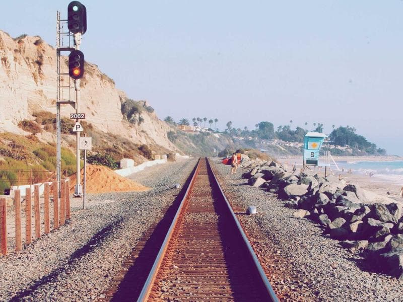 Collection 445 — wedding 29005