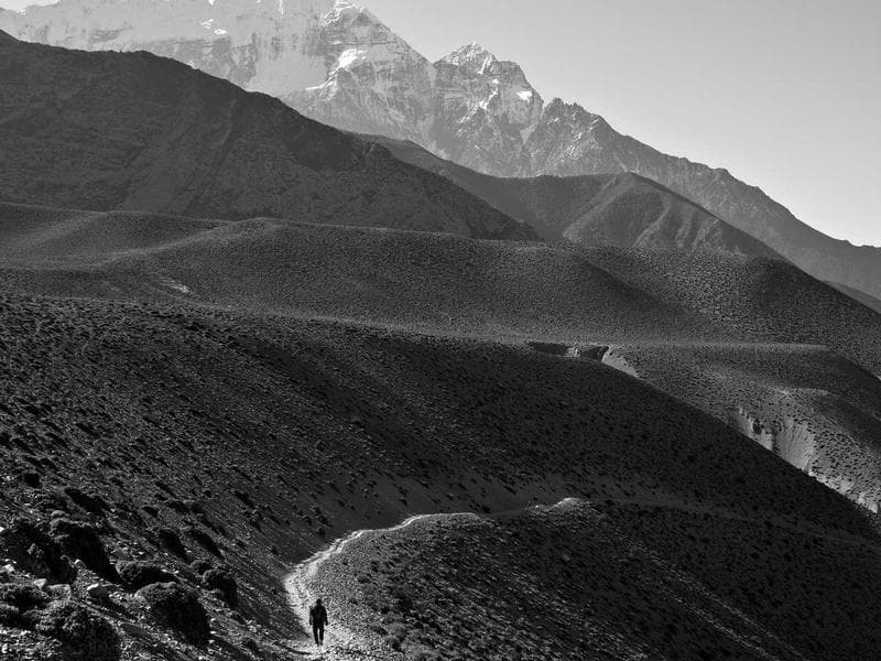 Collection 446 — product 29006