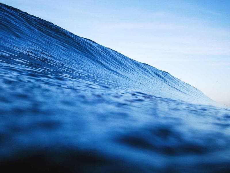 Collection 451 — editorial 29011