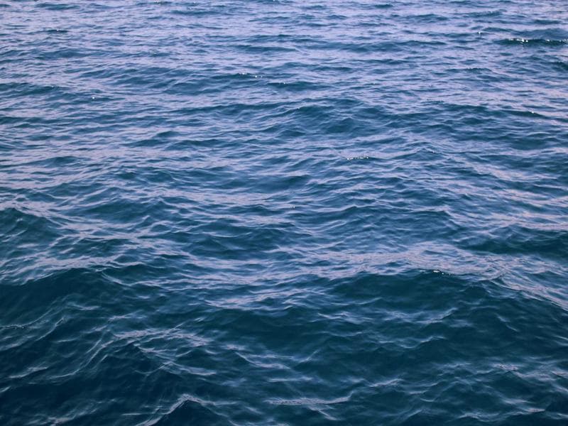 Collection 453 — wedding 29013