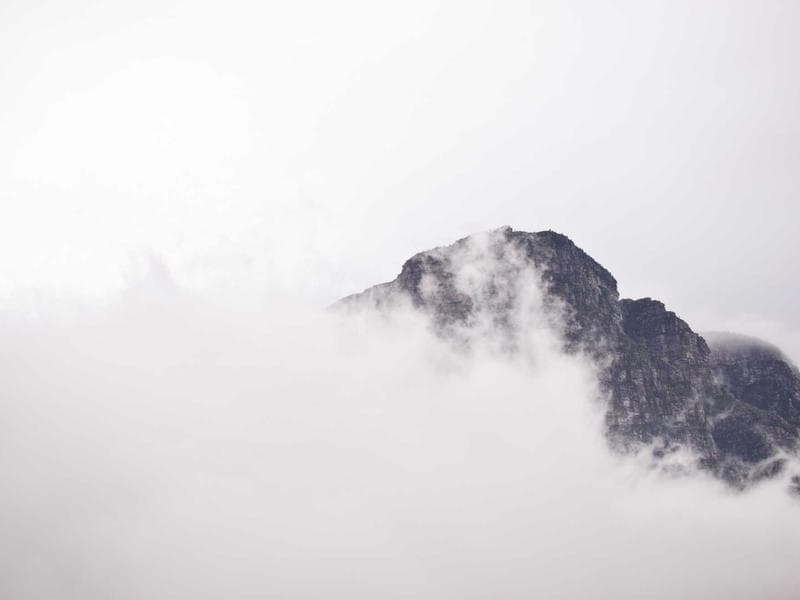 Collection 463 — nature 29023