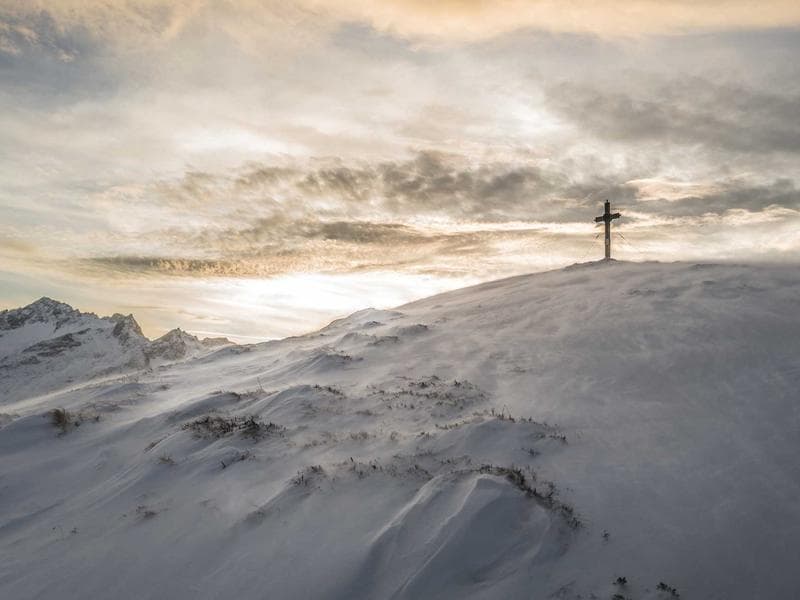 Collection 466 — portrait 29026