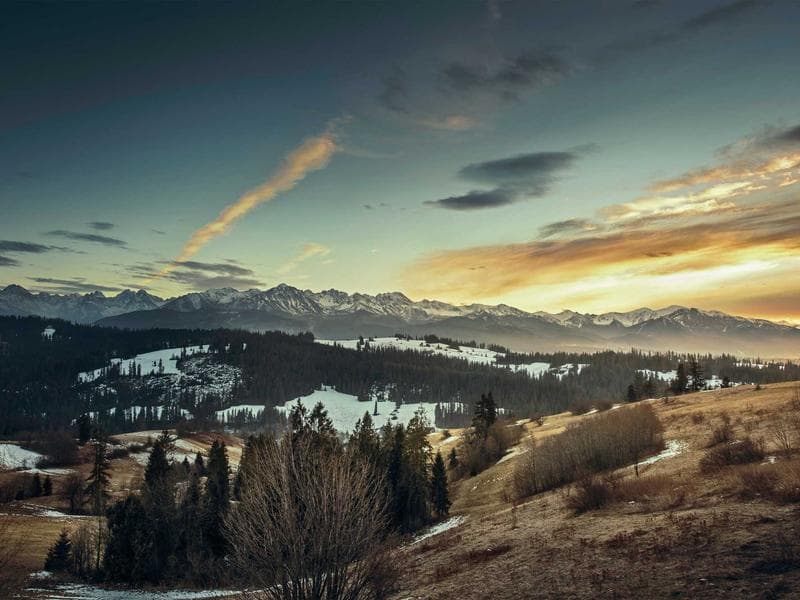 Collection 468 — street 29028