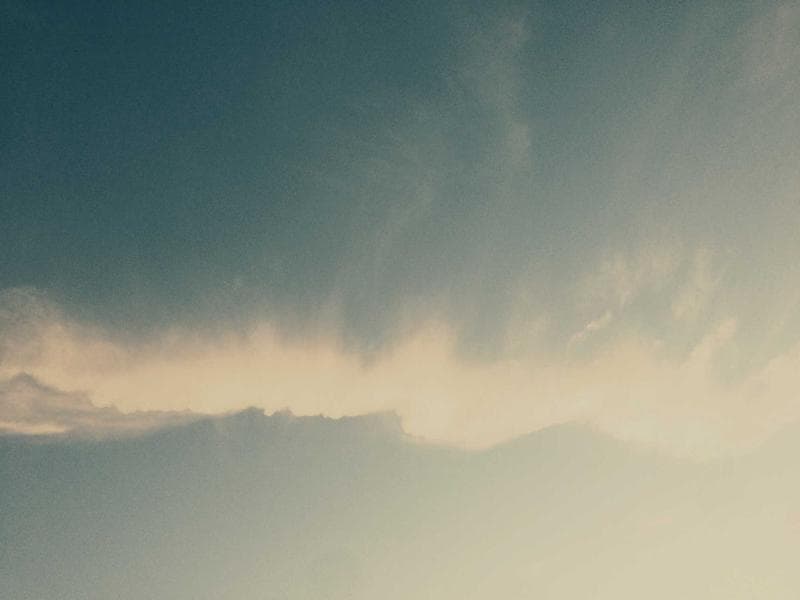 Collection 471 — nature 29031