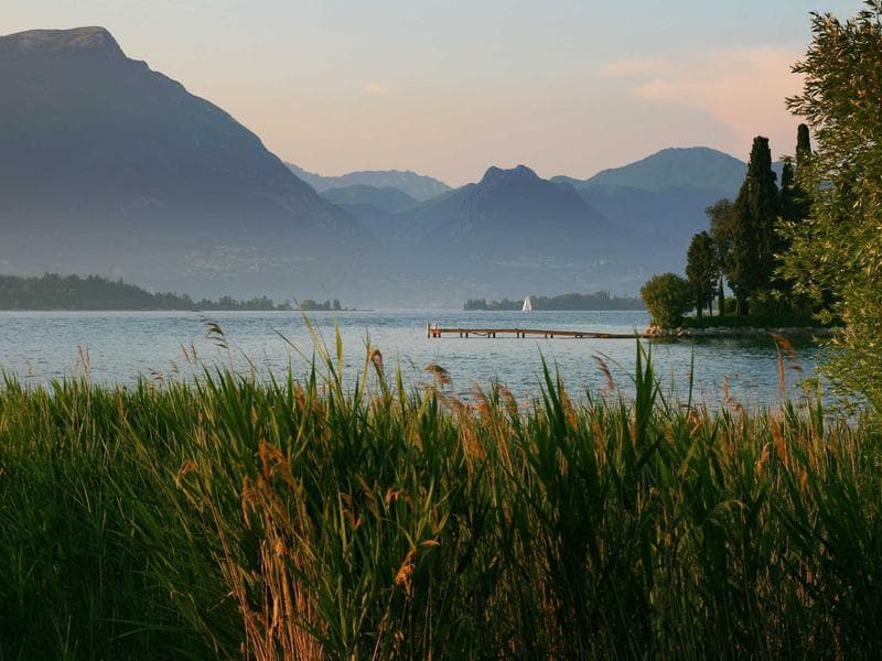 Collection 472 — architecture 29032