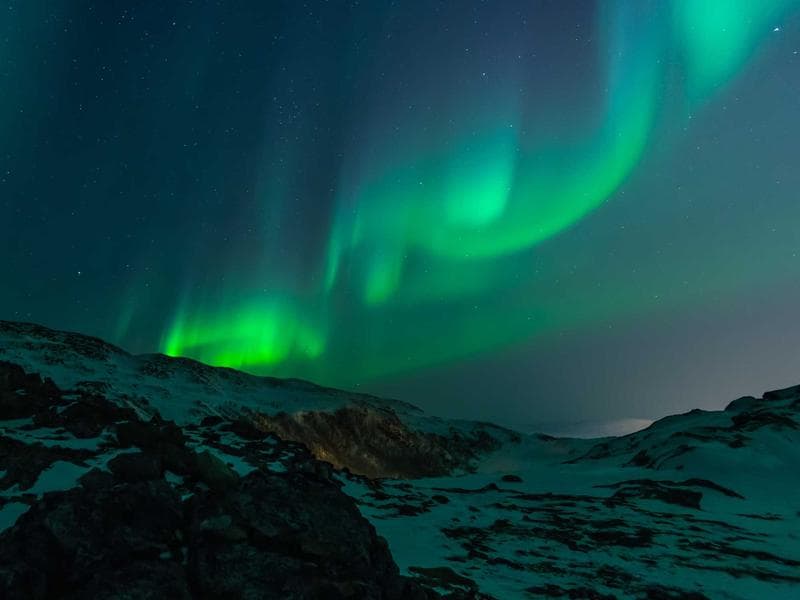 Collection 486 — product 29046