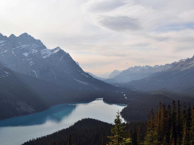 Collection 692 — street 29252