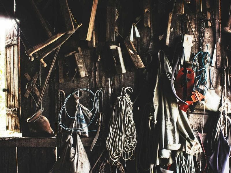 Collection 695 — nature 29255