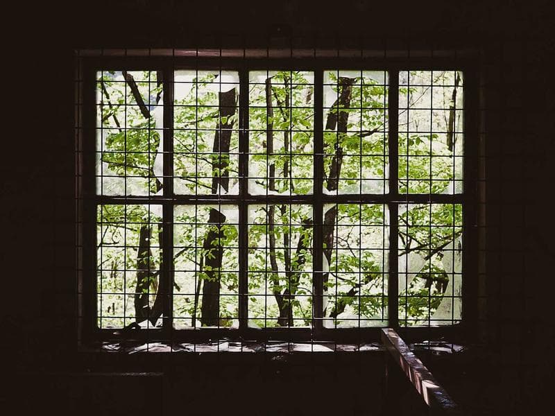 Collection 698 — portrait 29258