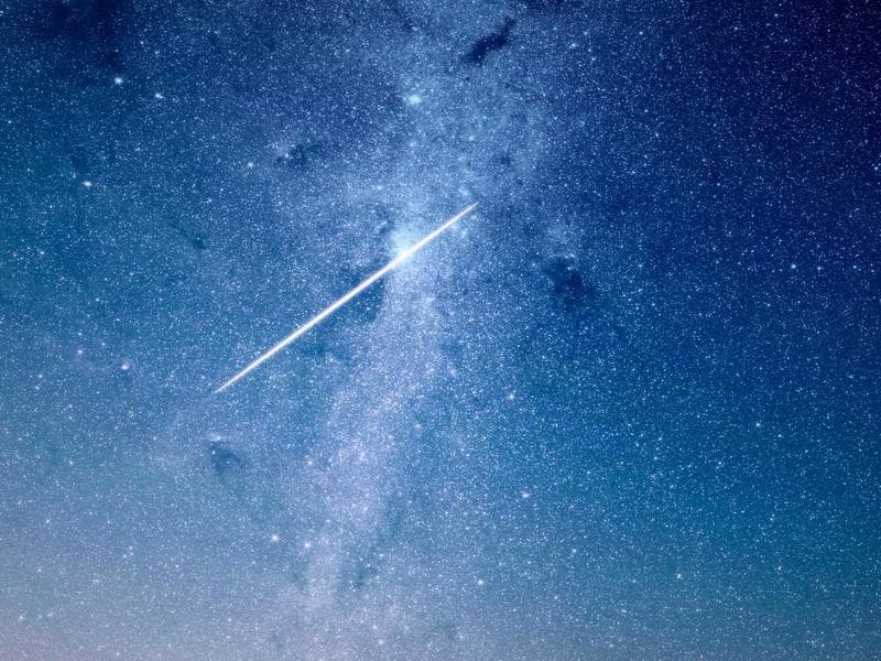 Collection 699 — editorial 29259