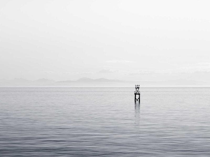 Collection 703 — nature 29263