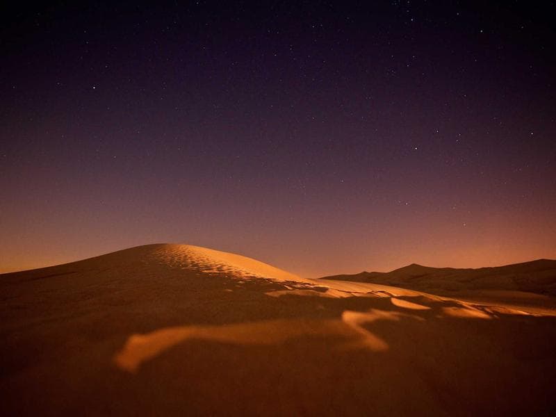 Collection 710 — product 29270