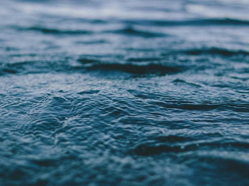 Collection 722 — portrait 29282