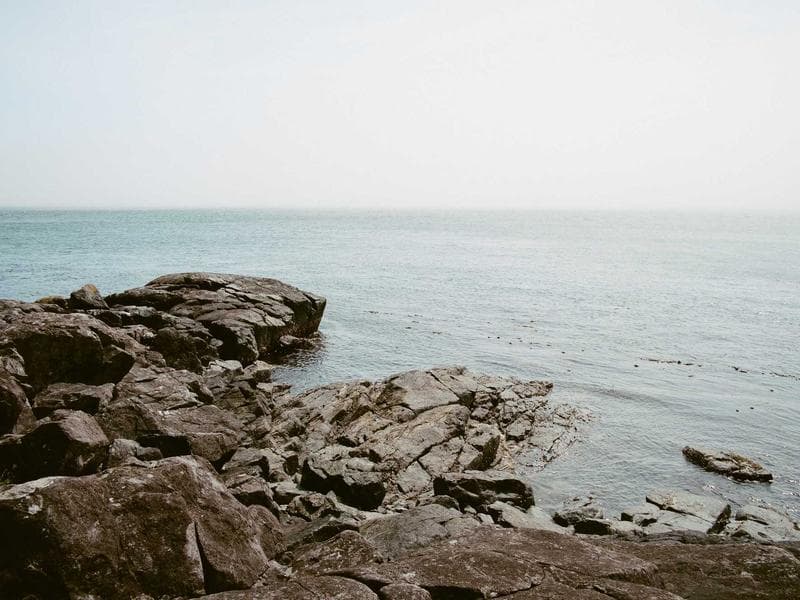 Collection 727 — nature 29287