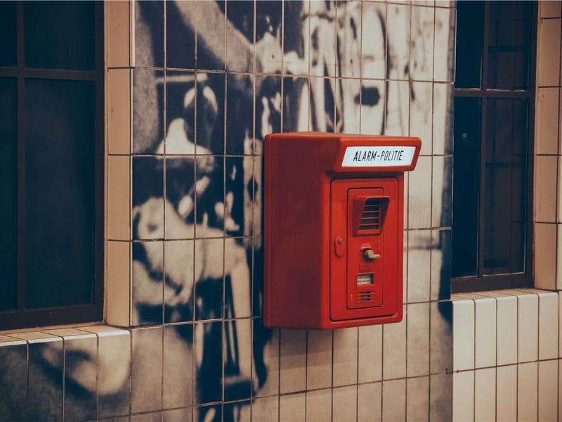 Collection 730 — portrait 29290