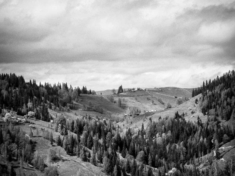 Collection 732 — street 29292