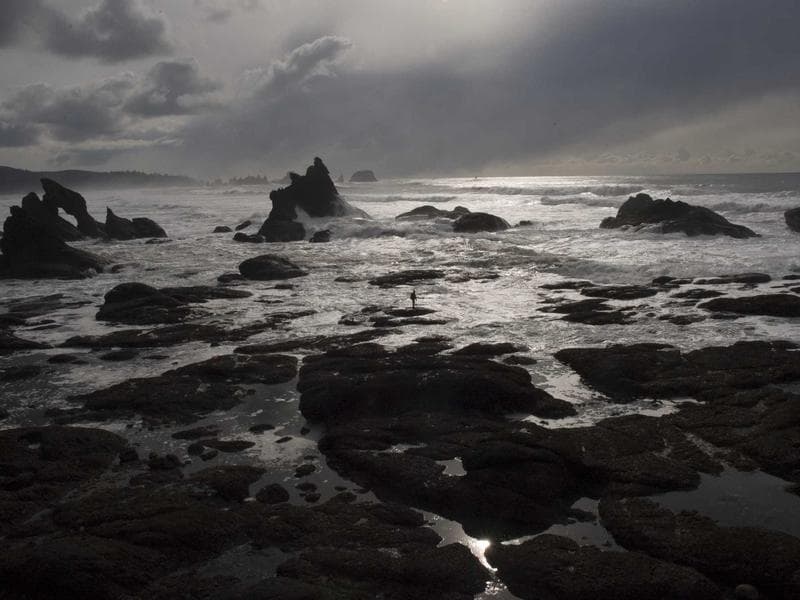 Collection 738 — portrait 29298