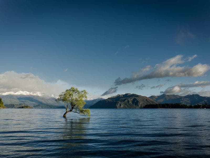 Collection 739 — editorial 29299