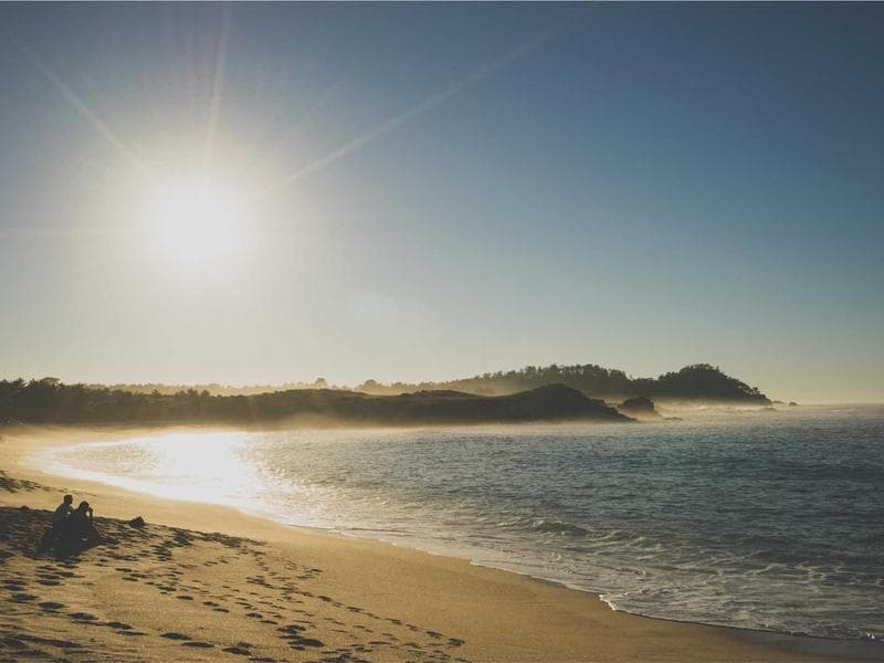 Collection 753 — landscape 29313