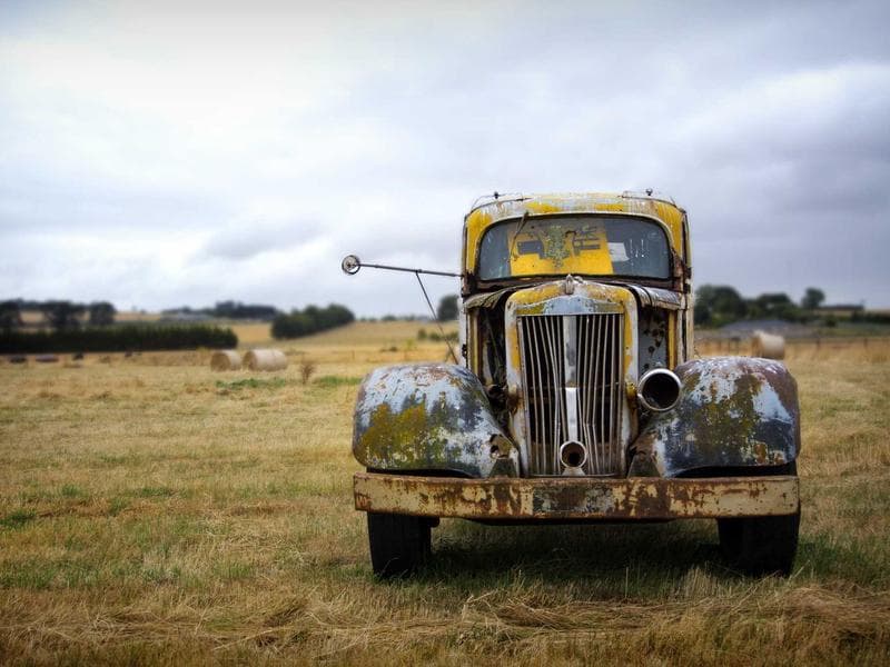 Collection 754 — portrait 29314