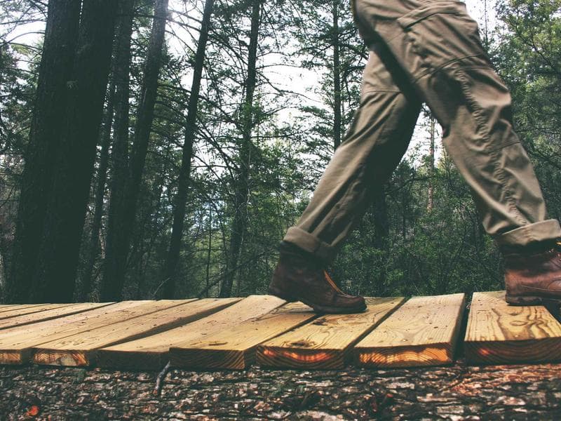 Collection 763 — editorial 29323