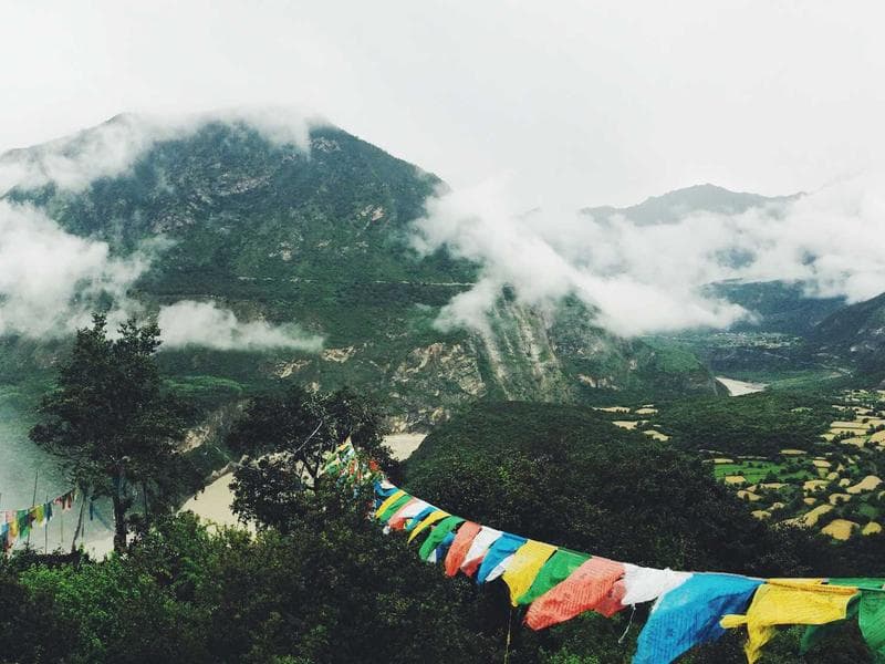 Collection 766 — product 29326