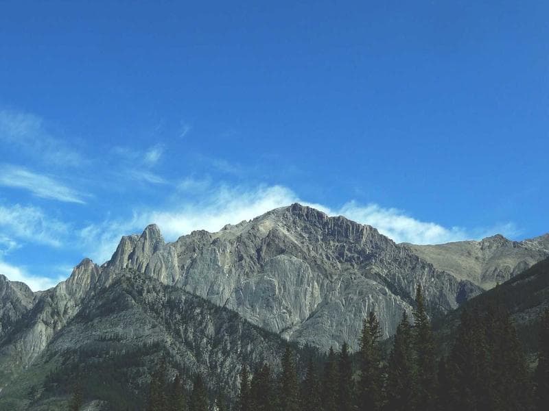 Collection 774 — product 29334