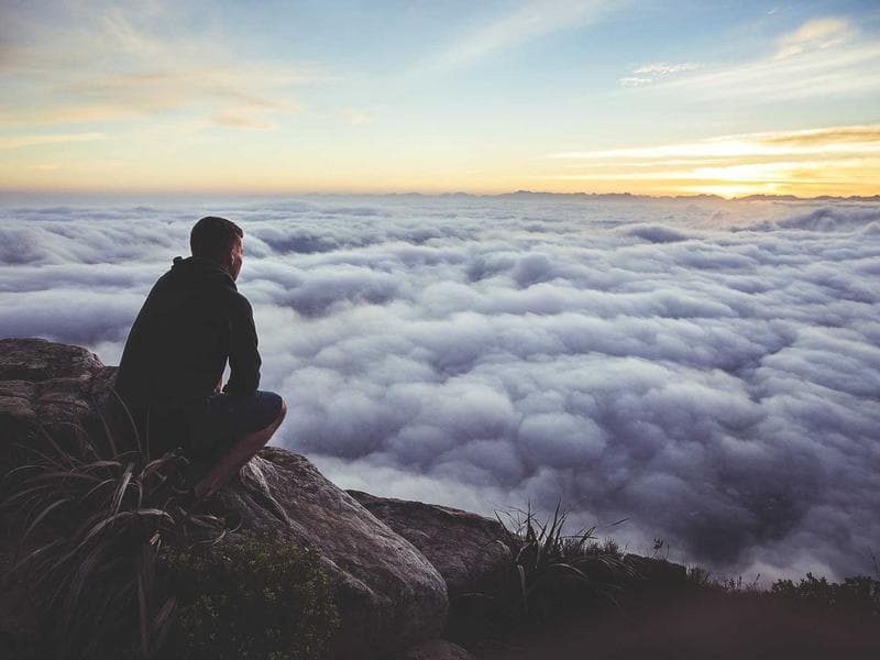 Collection 775 — nature 29335