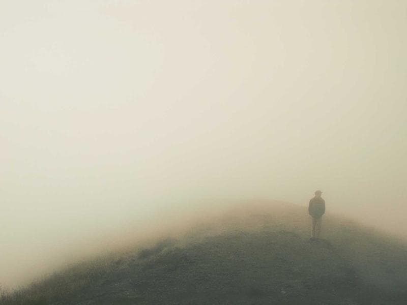 Collection 779 — editorial 29339