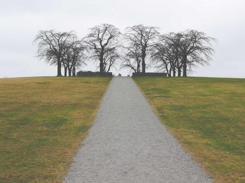 Collection 781 — wedding 29341