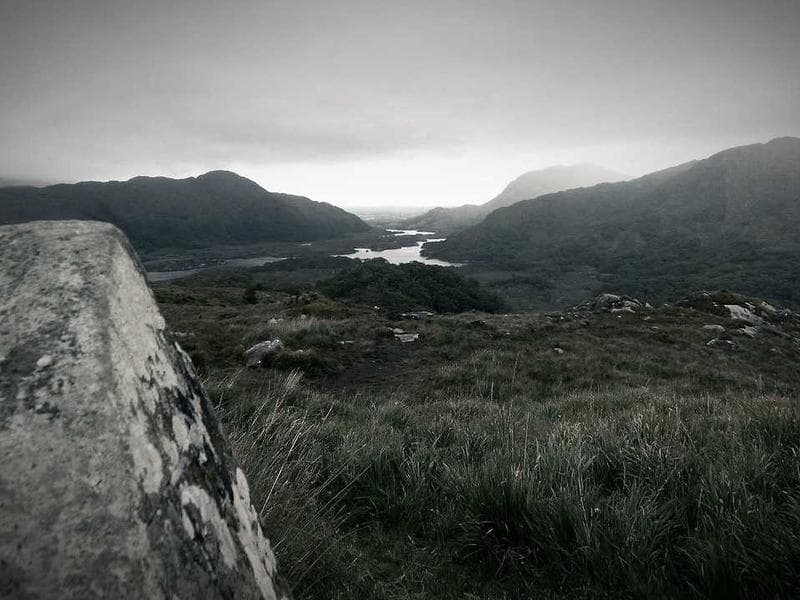 Collection 785 — landscape 29345