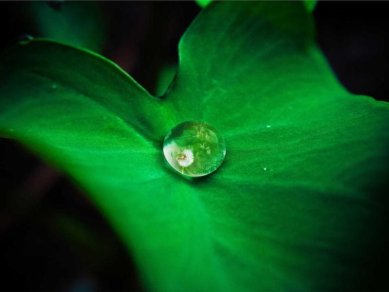 Collection 793 — landscape 29353