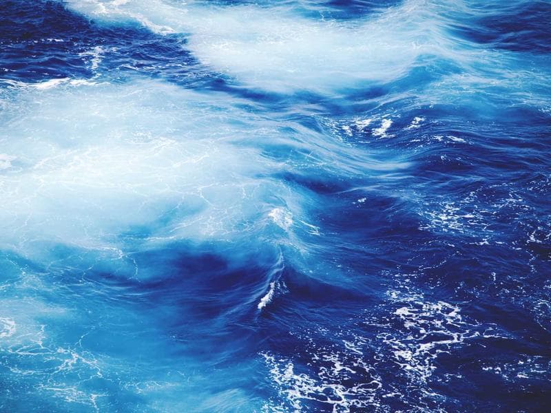 Collection 794 — portrait 29354