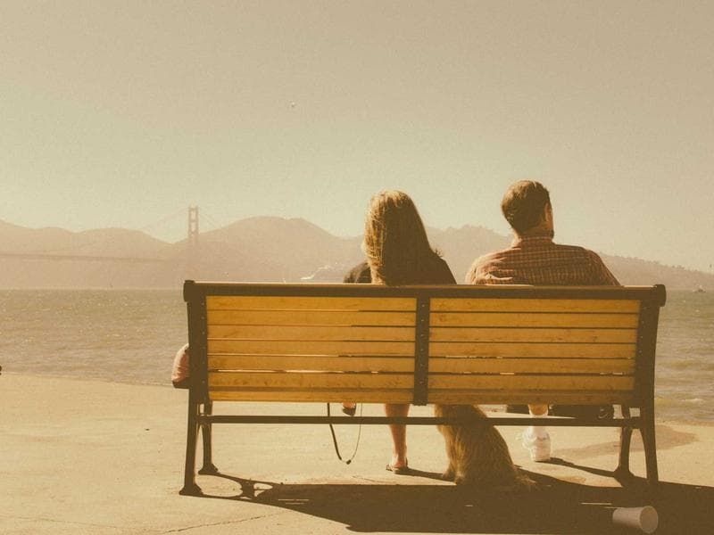 Collection 803 — editorial 29363