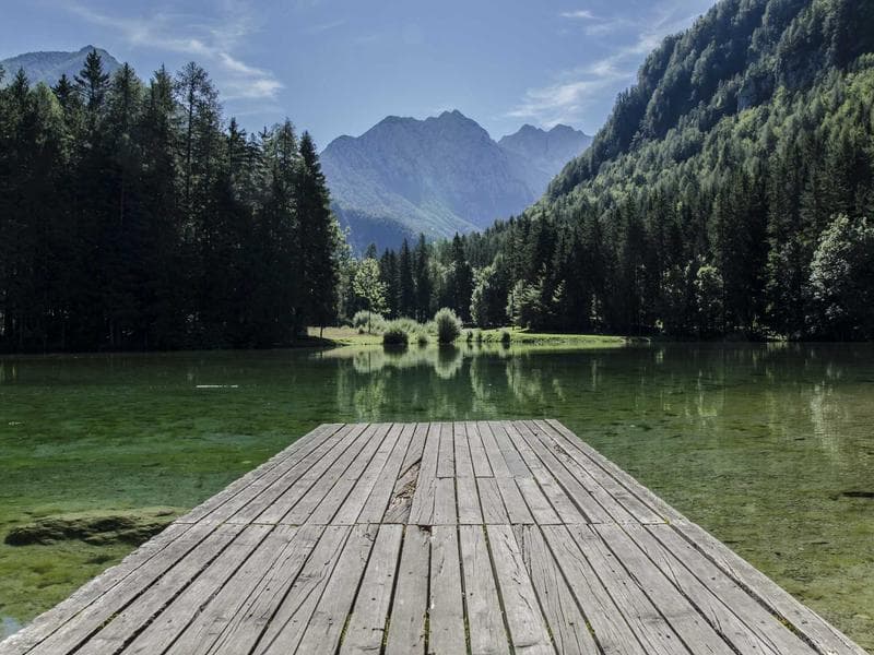 Collection 815 — nature 29375