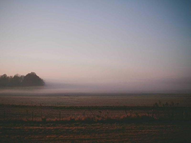 Collection 823 — nature 29383