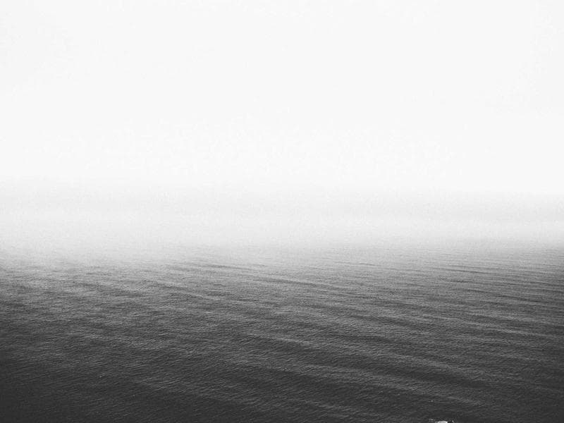 Collection 835 — editorial 29395