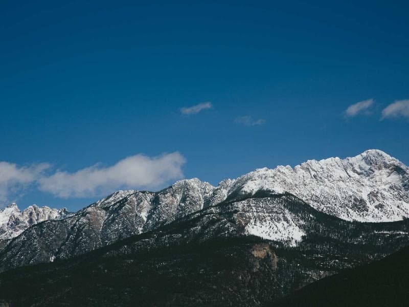 Collection 1 — landscape 29401