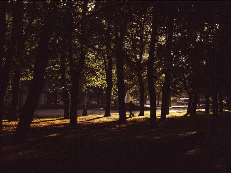 Collection 2 — portrait 29402