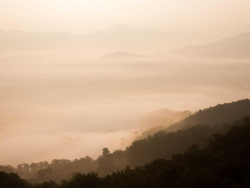 Collection 5 — wedding 29405