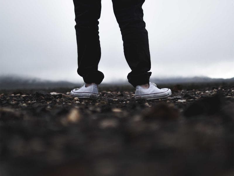 Collection 7 — nature 29407