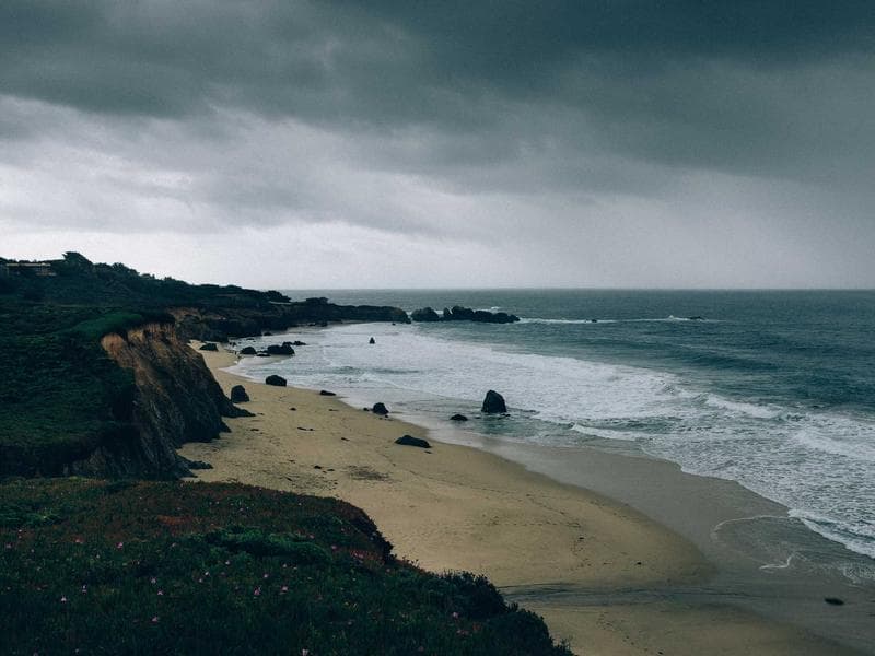 Collection 15 — nature 29415