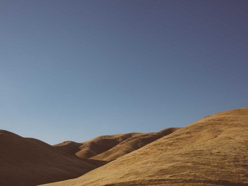 Collection 18 — portrait 29418