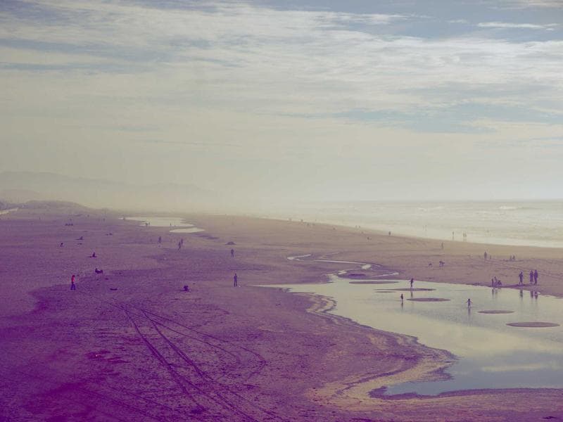 Collection 19 — editorial 29419