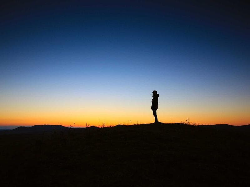 Collection 27 — editorial 29427