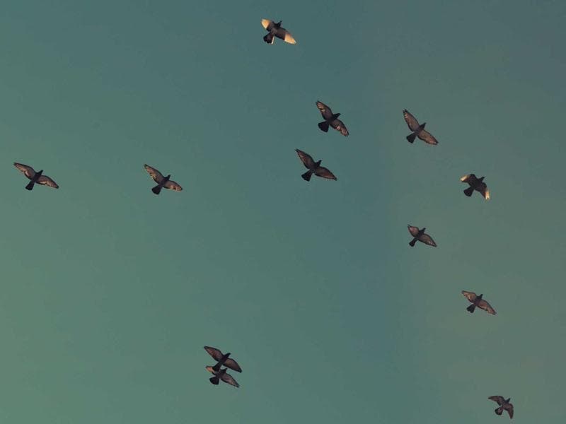 Collection 32 — architecture 29432