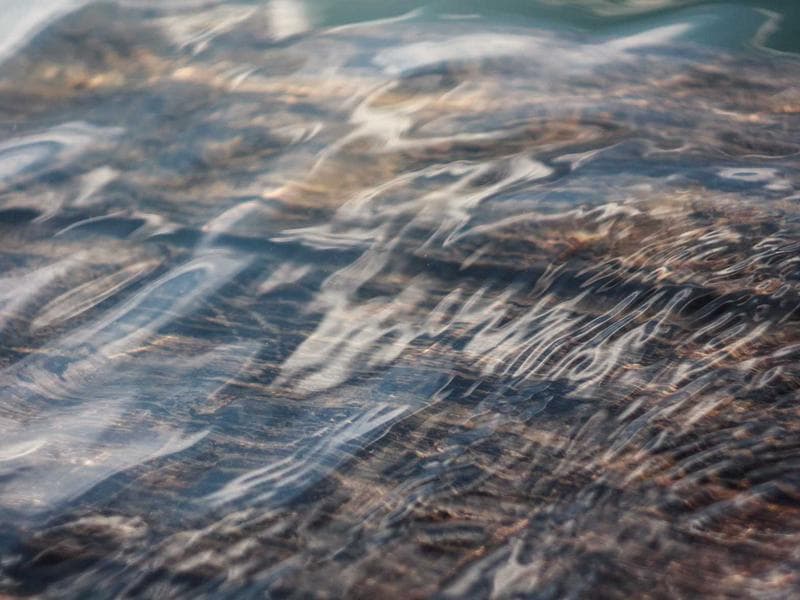 Collection 41 — landscape 29441