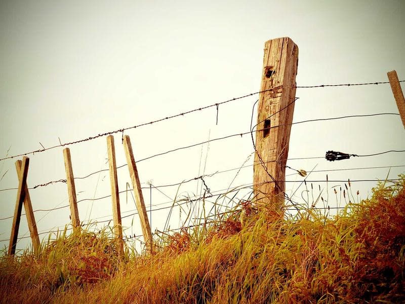 Collection 44 — street 29444