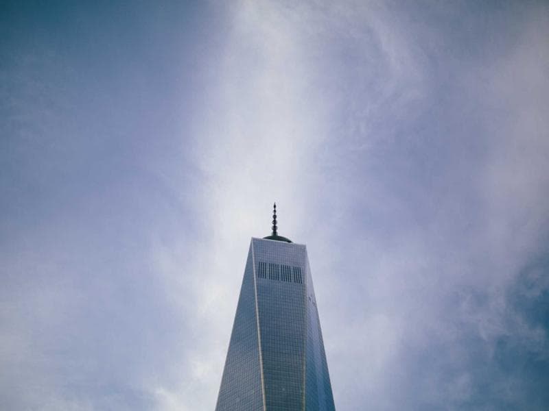 Collection 47 — nature 29447